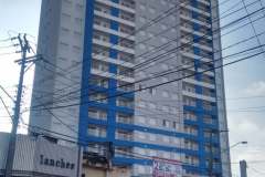 BLUE-DIADEMA-3