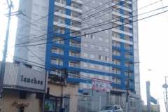 BLUE-DIADEMA-5